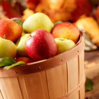 apple_harvest.jpg