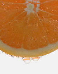citrussplashsmall.jpg